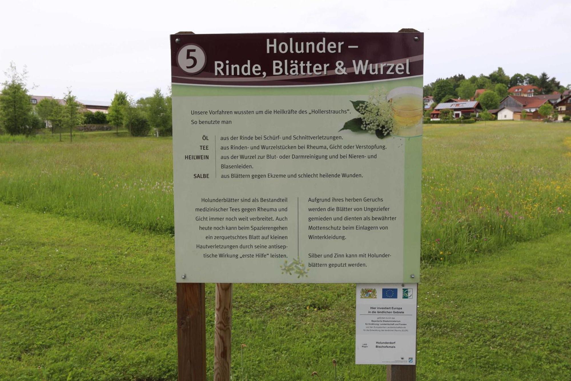 Fewo Mit Malerischem Bergblick Im Bischofsmais Extérieur photo